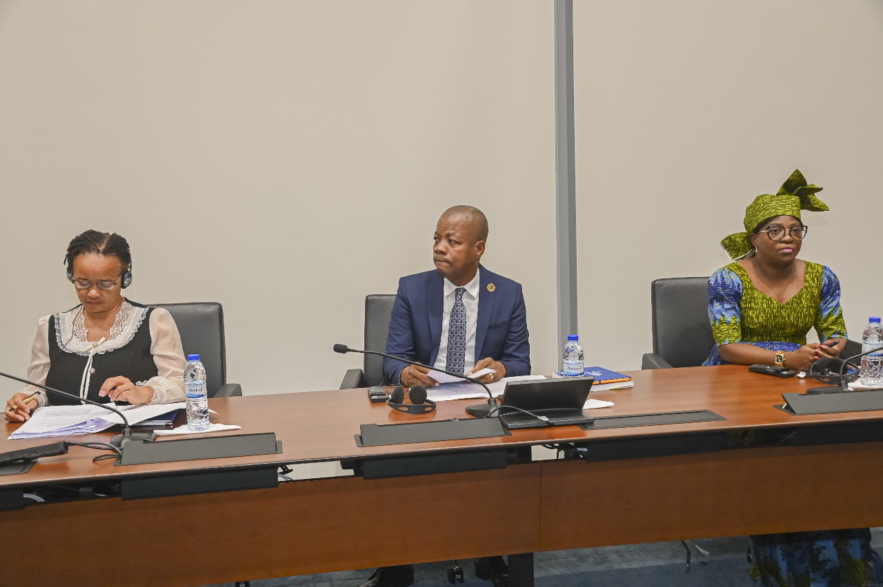 CNE partilha conhecimentos sobre organização de processos eleitorais com a sua congénere do Botswana.